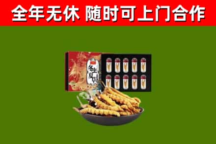 定海回收冬虫夏草价格